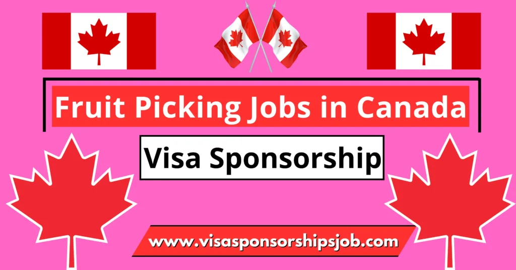 Fruit Picking Jobs in Canada with Visa Sponsorship 2024