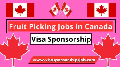 Fruit Picking Jobs in Canada with Visa Sponsorship 2024