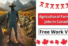 Agricultural Farming Jobs in Canada with Free Work Visa 2024