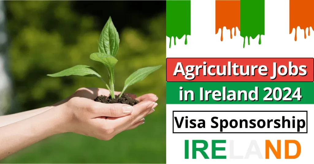 Agriculture Jobs in Ireland with Visa Sponsorship 2024