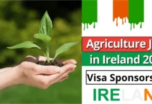 Agriculture Jobs in Ireland with Visa Sponsorship 2024