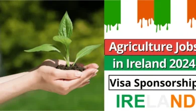 Agriculture Jobs in Ireland with Visa Sponsorship 2024