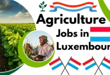 Agriculture Jobs in Luxembourg with Visa Sponsorship 2024