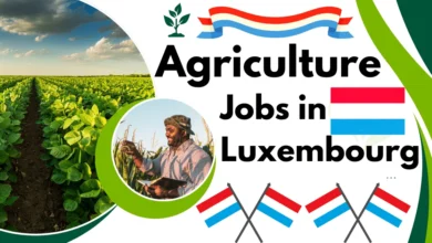 Agriculture Jobs in Luxembourg with Visa Sponsorship 2024