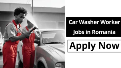 Car Washer Worker Jobs in Romania 2024 | Apply Now