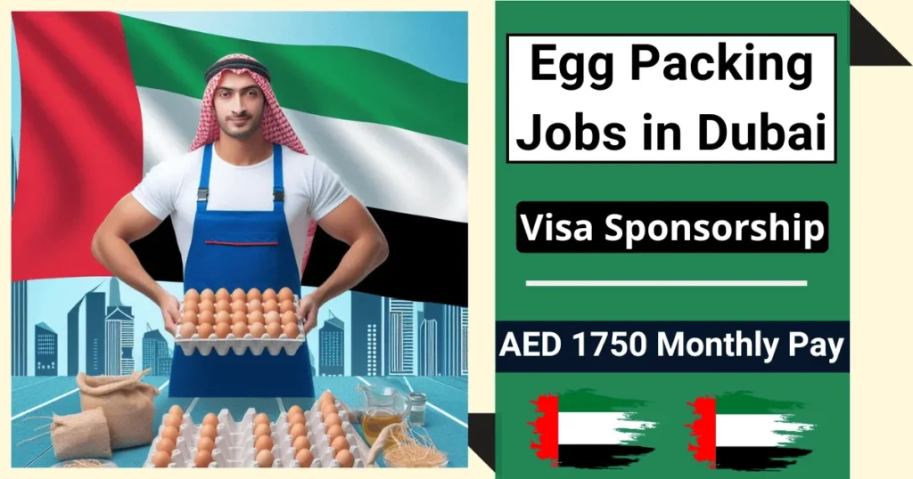 Egg Packing Jobs in Dubai with Visa Sponsorship 2024