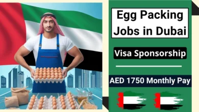 Egg Packing Jobs in Dubai with Visa Sponsorship 2024