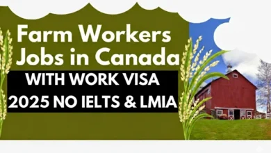Farm Workers Jobs in Canada with Work Visa 2025 No IELTS & LMIA