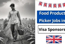 Food Production Picker Jobs in UK with Visa Sponsorship 2024