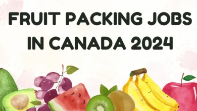 Fruit Packing Jobs in Canada with Visa Sponsorship 2024