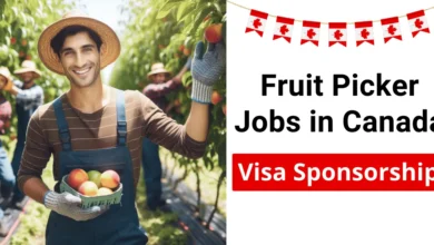 Fruit Picker Jobs in Canada with Visa Sponsorship 2024