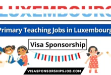 Primary Teaching Jobs in Luxembourg with Visa Sponsorship 2024