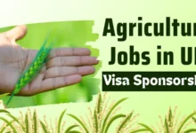 Agriculture Jobs in UK with Visa Sponsorship 2024