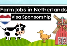 Farm Jobs in Netherlands with Visa Sponsorship 2024