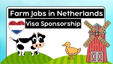 Farm Jobs in Netherlands with Visa Sponsorship 2024