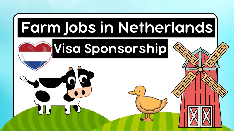 Farm Jobs in Netherlands with Visa Sponsorship 2024 (€10 to €15 Hourly)