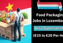 Food Packaging Jobs in Luxembourg with Visa Sponsorship 2024 (€15 to €20 Per Hour)