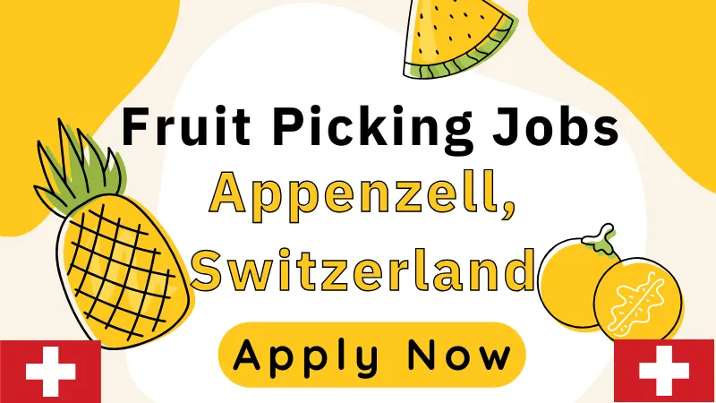 Fruit Picking Jobs in Appenzell, Switzerland for Foreigners 2024