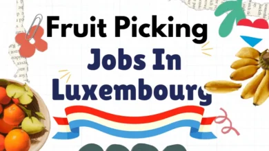 Fruit Picking Jobs in Luxembourg Visa Sponsorship 2024