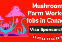 Mushroom Farm Worker Jobs in Canada with Visa Sponsorship 2024
