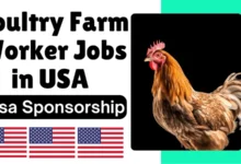Poultry Farm Worker Jobs in USA with Visa Sponsorship 2024