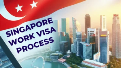 Singapore Work Visa Process June 2024