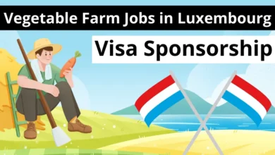 Vegetable Farm Jobs in Luxembourg with Visa Sponsorship 2024