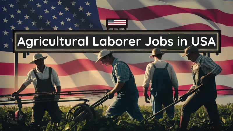 Agricultural Laborer Jobs in USA with Visa Sponsorship 2024 ($15 Per Hour)