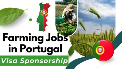 Farm Jobs in Portugal with Visa Sponsorship 2024 ($16.71 Per Hour)