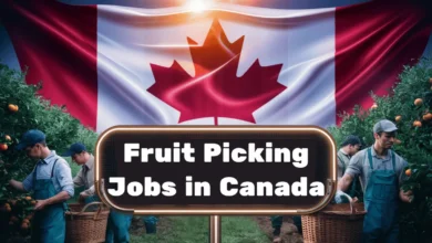 Fruit Picking Jobs in Canada with Work Visa 2024: Apply Now