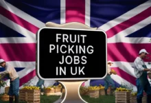 Fruit Picking Jobs in UK with Visa Sponsorship 2025 (£8.72 to £10.50 Per Hour)