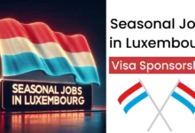 Seasonal Jobs in Luxembourg with Visa Sponsorship 2024 (€2500 to €3000 Per Month)