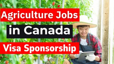 Agriculture Jobs in Canada with Visa Sponsorship August 2024 (CAD 14 Per Hour)