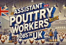 Assistant Poultry Workers Jobs in UK with Visa Sponsorship 2024 (£18,000 to £25,000 Per Year)