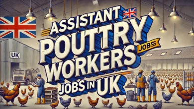 Assistant Poultry Workers Jobs in UK with Visa Sponsorship 2024 (£18,000 to £25,000 Per Year)