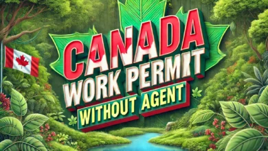 Canada Work Permit Without an Agent August 2024