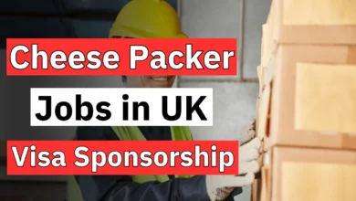 Cheese Packer Jobs in UK with Visa Sponsorship 2024 (£11.79 Per Hour)