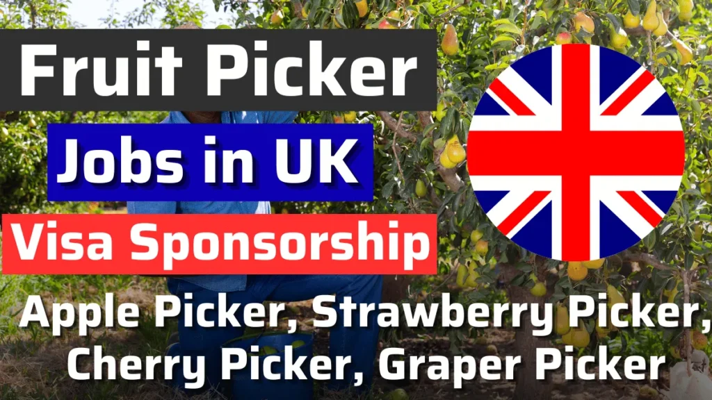 Fruit Picker Jobs in UK (August 2024): Visa Sponsorship