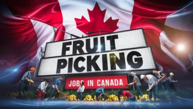 Fruit Picking Jobs in Canada: Salary Upto CAD 5000 Per Month