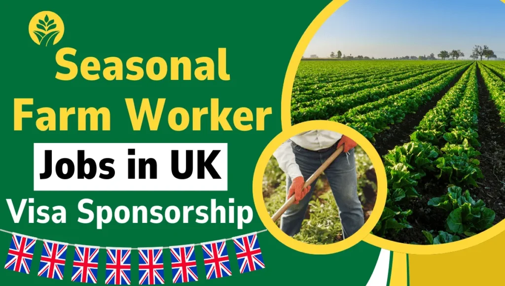 Seasonal Farm Worker Jobs in UK with Visa Sponsorship 2024 (£8.91 and £12 Per Hour)