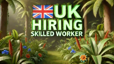 UK Hiring Skilled Worker August 2024