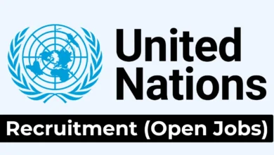 UN Recruitment (August 2024): Open Jobs/Online Application