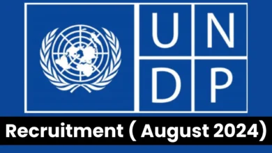 UNDP Recruitment ( August 2024): Open Jobs/Online Application