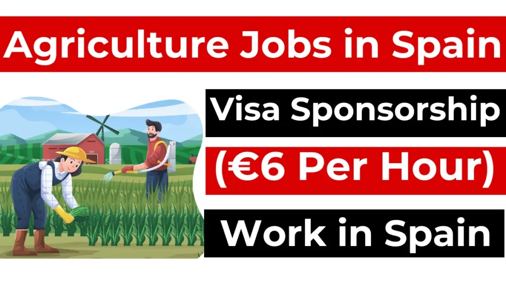 Agriculture Jobs in Spain with Visa Sponsorship 2024 (€6 Per Hour)