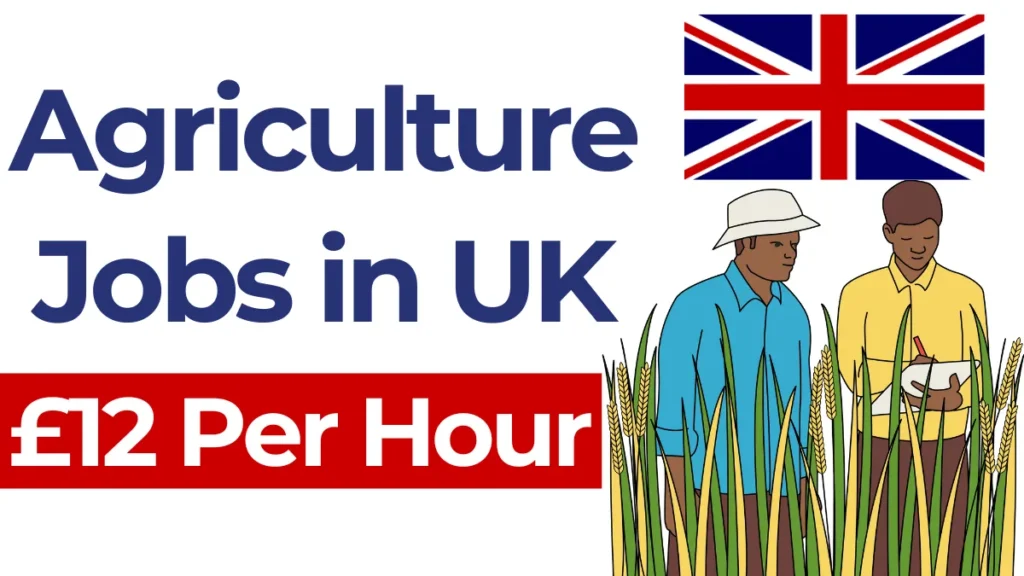 Agriculture Jobs in UK with Visa Sponsorship Sep 2024 (£12 Per Hour)