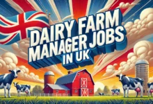 Dairy Farm Manager Jobs in UK with Visa Sponsorship 2024 (£25,000 to £45,000 Yearly)