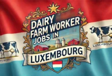 Dairy Farm Worker Jobs in Luxembourg with Visa Sponsorship 2024 (€16 Per Hour)