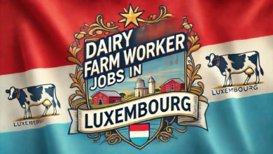 Dairy Farm Worker Jobs in Luxembourg with Visa Sponsorship 2024 (€16 Per Hour)