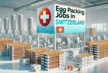 Egg Packing Jobs in Switzerland with Visa Sponsorship 2024