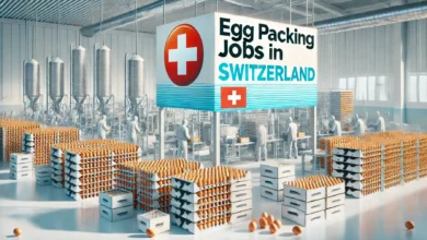 Egg Packing Jobs in Switzerland with Visa Sponsorship 2024